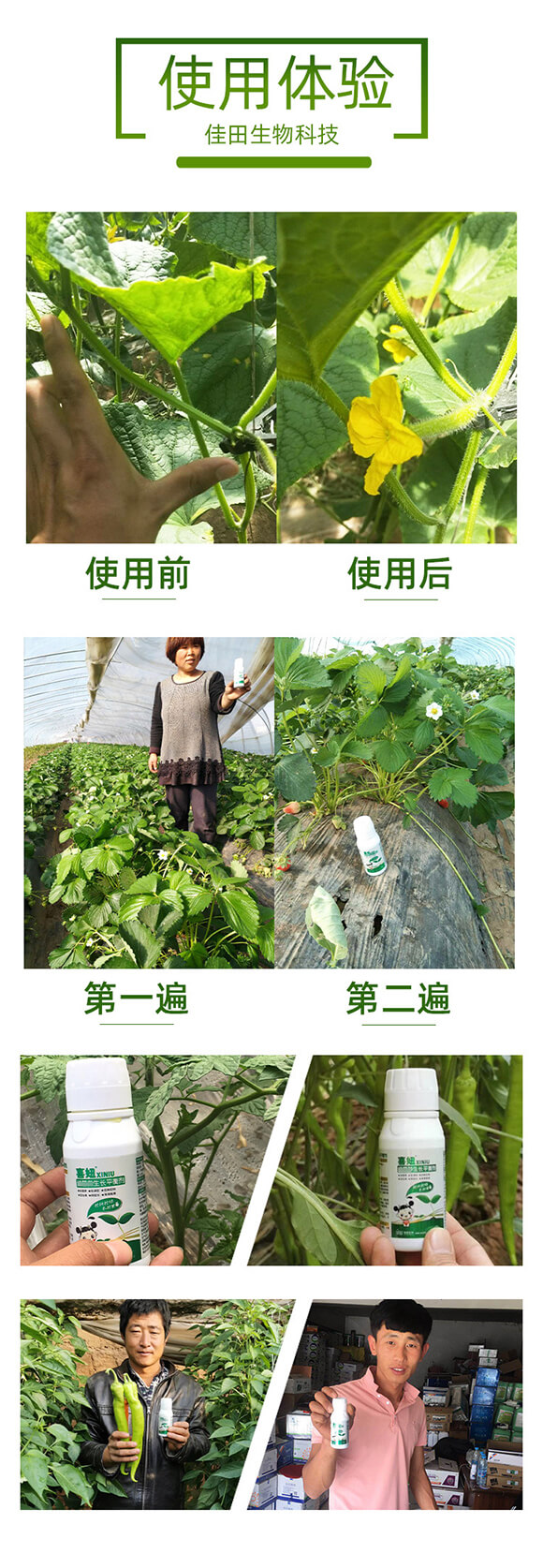 純營(yíng)養(yǎng)生長(zhǎng)平衡劑-喜妞-佳田生物_06