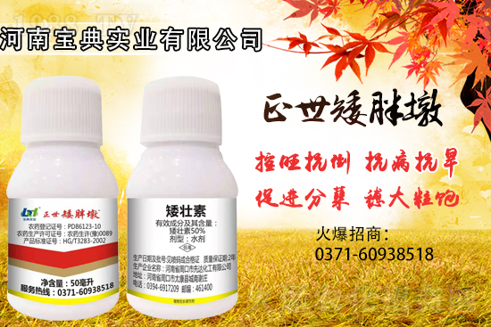 С���������ݲ��ɓ������I(y��)������Ч��������