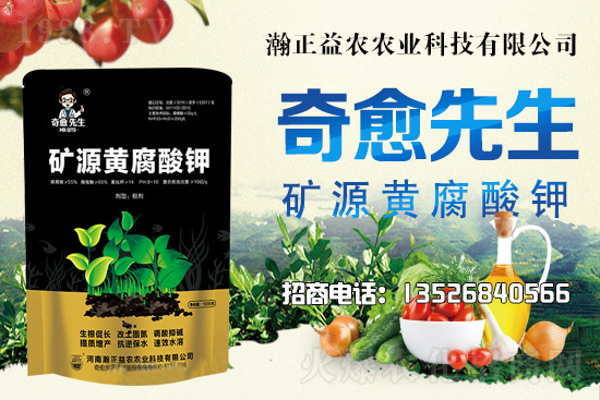 水稻價格還將上漲!上行空間有多大?附:當(dāng)前水稻價格