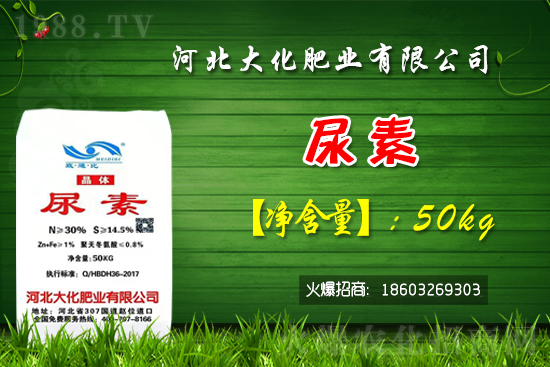 �t��������������Xһ�����Nֲǰ�������