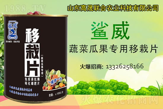 �����������������L(zh��ng)������...���߲˶�ֲ�ؿ�