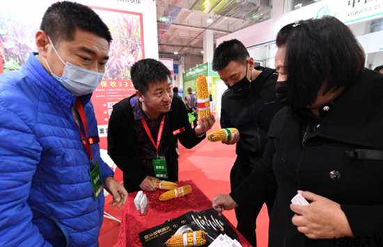 ��28�Ã�(n��i)�ɹ��r(n��ng)����(hu��)