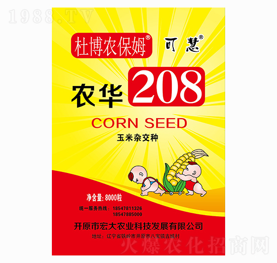 2021年玉米種子怎么選?2021年優(yōu)質(zhì)玉米種子推薦