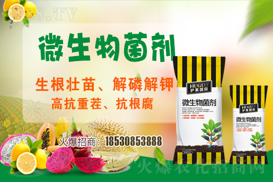 ��ݮ�����F(xi��n)���l���l(f��)������ҪԴ��ʲô������