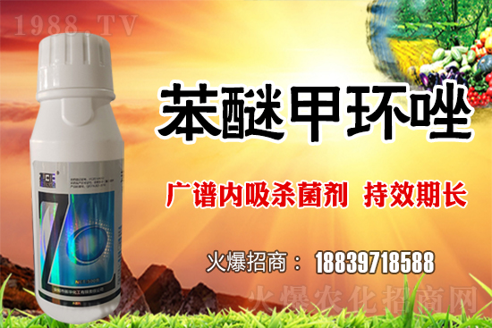 倒春寒風險加大,如何做好冬小麥防護工作?