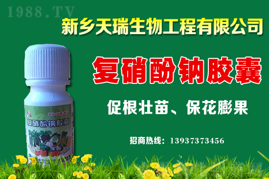 �������c