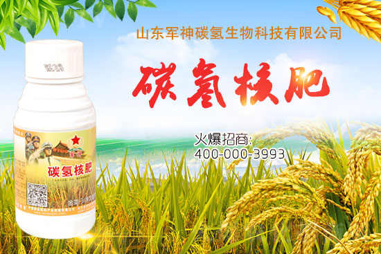 ̼��˷���ʲô������ʲôЧ���@ô����