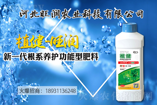 �{(l��n)ݮ������ô�Nֲ���{(l��n)ݮ����ķNֲ���޼����ݼ��g(sh��)��