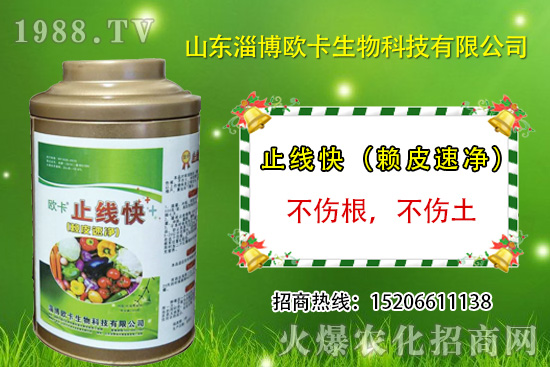 歐卡生物再簽1988.TV,力求實現(xiàn)企業(yè)騰飛夢!