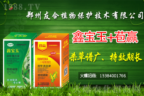 2021��5��8�ջ������݄��r���Ӎ