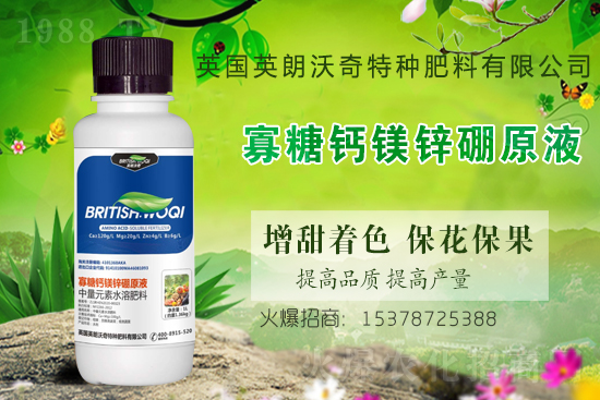 Ӣ������ɹ����s1988.TV���y�ֹ���(chu��ng)��(zh��n)����