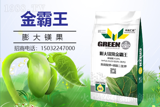 �r(n��ng)���W(w��ng)ϲӭ�����ѣ��Ј�R��(r��n)���s1988.TV�y�ִ����������E��