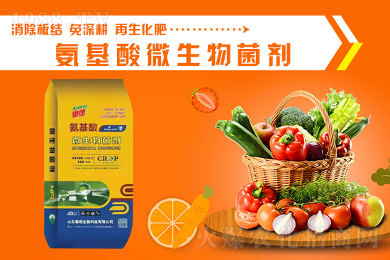 ɽ�|�W�������ٺ�1988.TV���y�ִ����������E��