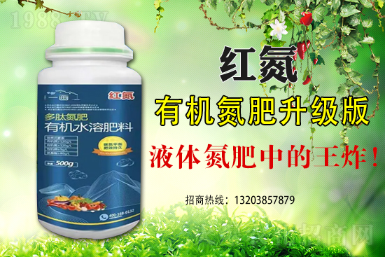 玉米為什么會(huì)出現(xiàn)早衰這種現(xiàn)象?如何避免玉米早衰?