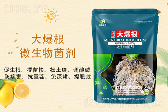 2021��8��24�����׷��r(n��ng)ˎ�r��