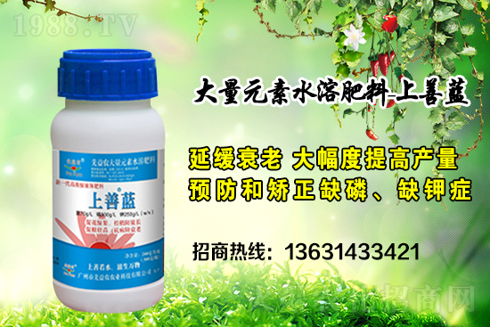 廣州市先益農(nóng)再度攜手1988.TV,攜手共創(chuàng)新戰(zhàn)績!