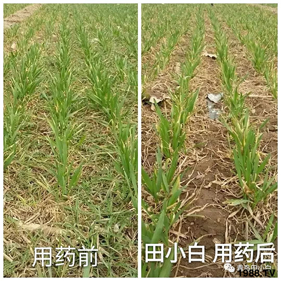 С���s�ݣ���(ji��)��(ji��)�����E�ɞ�(z��i)����ô�k��С�����݄���ô�x