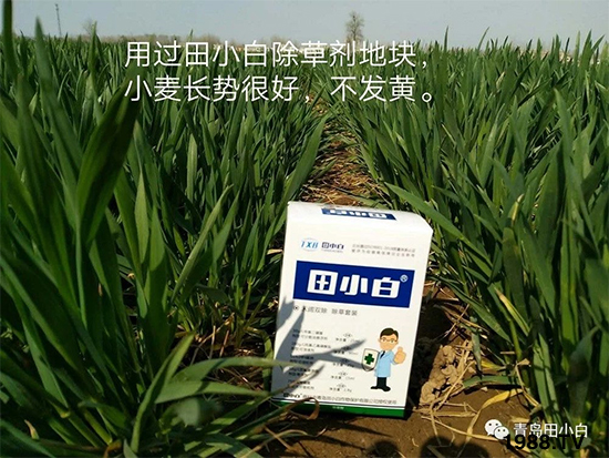 С���s������(ji��)��(ji��)�����E�ɞ�(z��i)����ô�k��С�����݄���ô�x