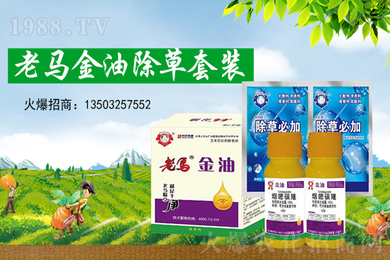 ���׃r(ji��)��