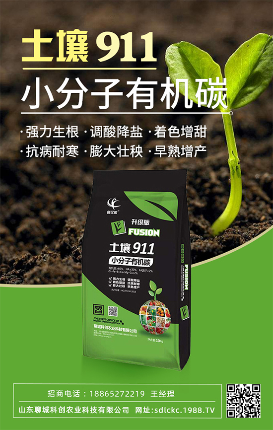 ɽ�|�ĳǿƄ�(chu��ng)�ٺ�1988.TV�����\�������p�A��