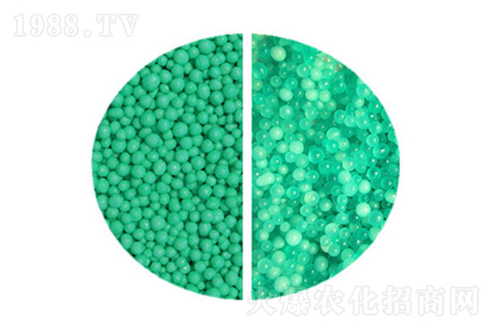 ���Ո�r��2022��12��14�Շ��������Ј��r��