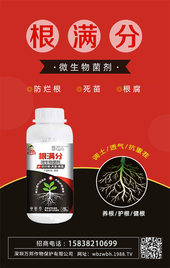 �������砀�������l(f��)��������ô�k��������������ϵ��