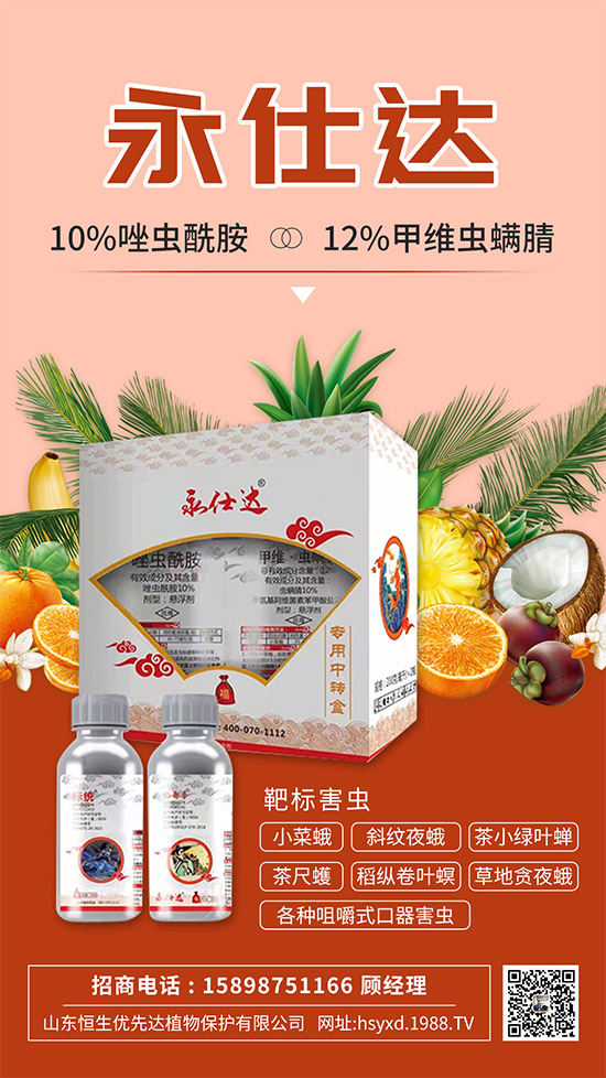 С�˶��η����y��С�˶�Σ���Y����δ�ʩ��