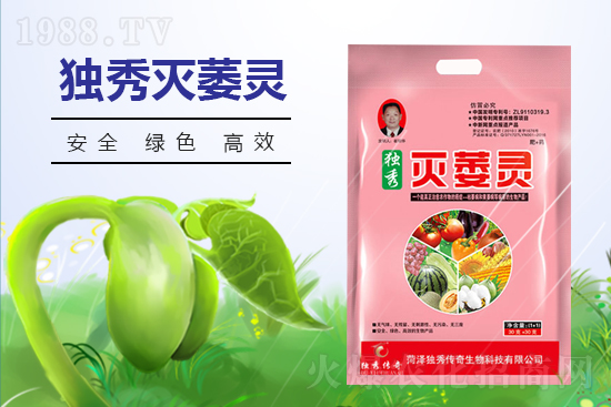 番茄發(fā)生枯萎病什么癥狀?番茄枯萎病的預(yù)防措施