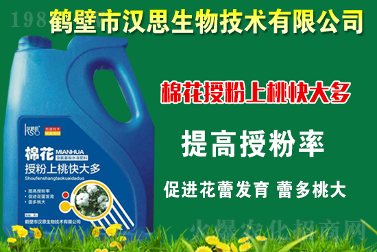 �޻��Nֲ��ô�������޻������L�ڹ���Ҫ�c(di��n)