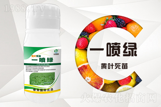 �����߲������ʲô�������磿��ô��Q��