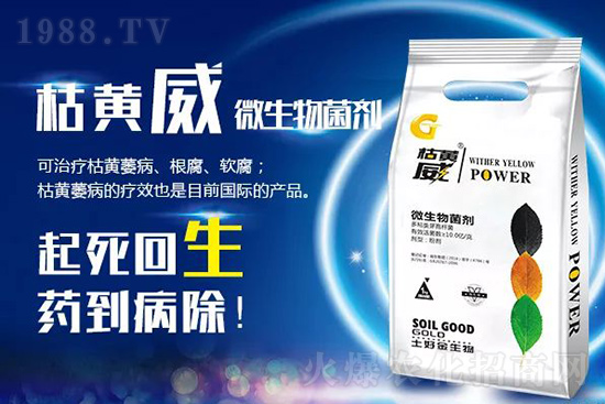 ���Sή�����ݵȲ������Ӝ皢�������͉�����