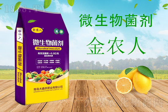 小麥科學(xué)防范“倒春寒”,該怎么做?