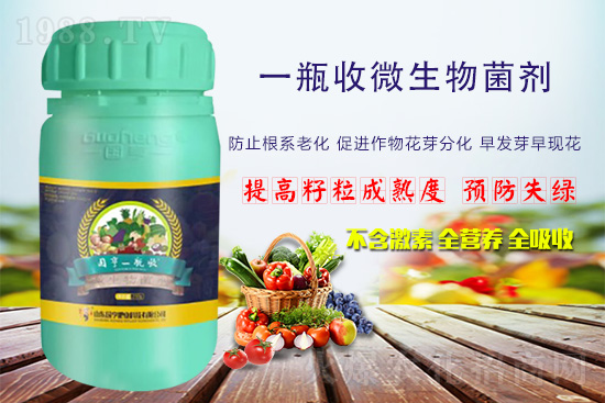火爆農化網喜迎新盟友,攜手國亨肥業(yè)共走財富之路!