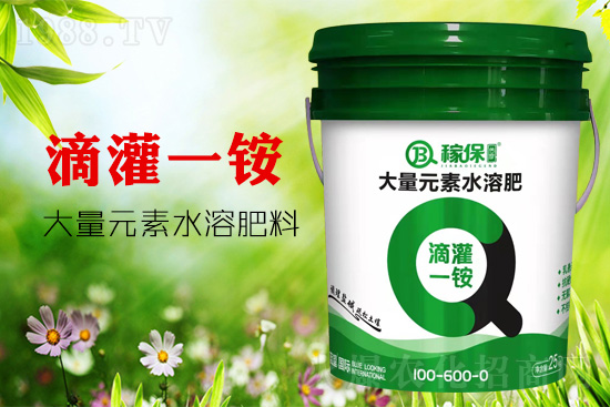 �����еġ�������������������һ�@���](m��i)��������