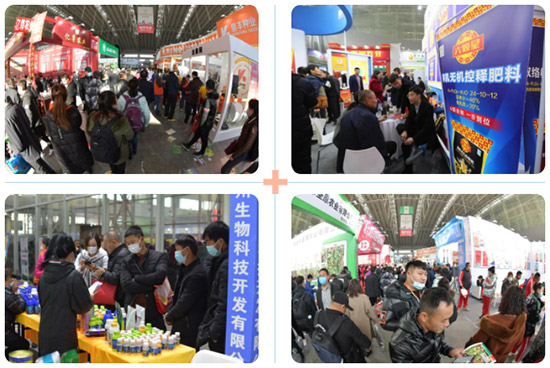 2022�����I�r�Y���[��12