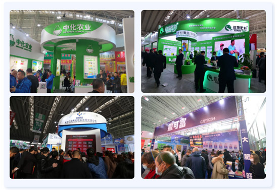 2022�����I�r�Y���[��13