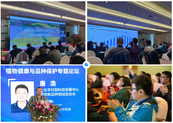 2022�����I�r�Y���[��17