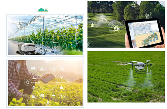 2022�����I�r�Y���[��18