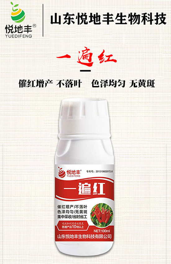 辣椒催紅措施怎么做?辣椒如何提前上市?辣椒催紅藥什么時(shí)候打好?