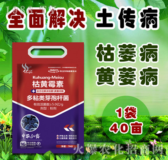     ��(x��)���Բ�������Щ������ˎ����ô�x��һƪ�����f����