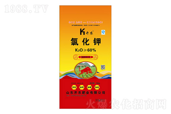 ⛷ʃr(ji��)������Xһ�������Շ���(n��i)⛷��Ј���(b��o)�r(ji��)