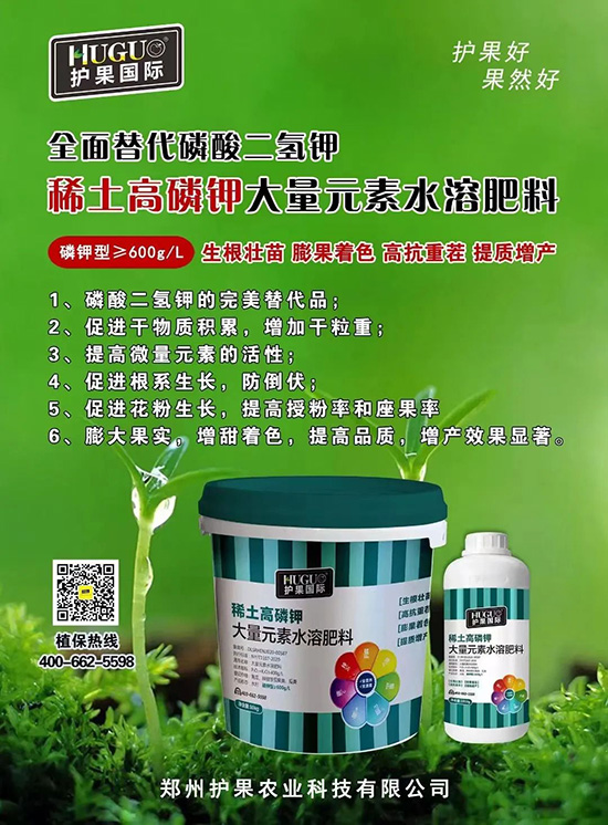 ⛷ʴ�q�r���@�N⛷���ݶ��������������������ռ���f�Ј�