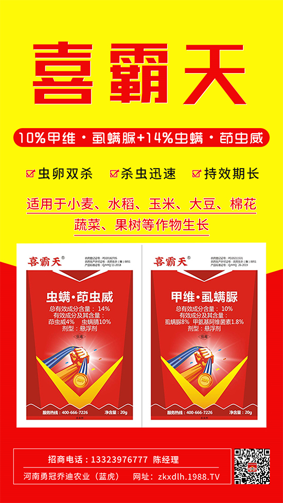 С�˶��������xΣ����̫�y���@����ˎ��һ��һ��(g��)��(zh��n)!