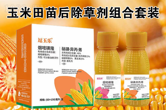 ���׳��݄���ô�������Ч��