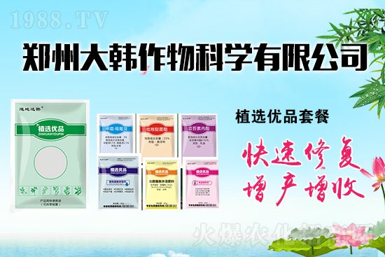 作物藥害肥害頻發(fā)怎么辦?發(fā)生藥害肥害如何補(bǔ)救?