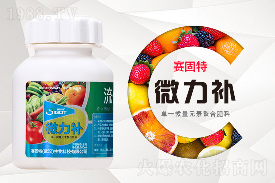 ���ι���С�~���S�~����������������