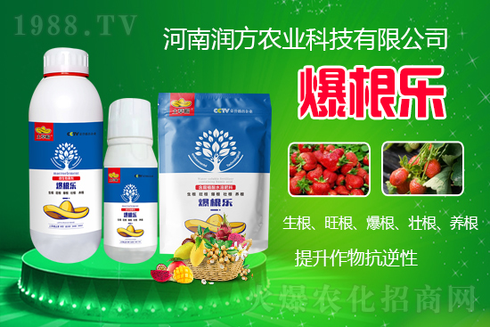 河南潤(rùn)方農(nóng)業(yè)科技有限公司【微生物菌劑-爆根樂(lè)-土草帽】可幫助植物建立強(qiáng)壯強(qiáng)大的根系,促進(jìn)植物對(duì)土壤養(yǎng)分、水分與氣體的吸收利用。生根、旺根、爆根、壯根、養(yǎng)根,增強(qiáng)抗逆性。