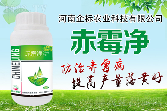 緊急提醒:未來十天是小麥赤霉病防治關(guān)鍵期!務(wù)必抓!