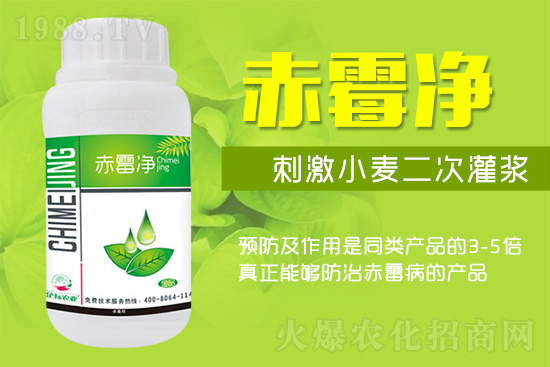 緊急提醒:未來十天是小麥赤霉病防治關(guān)鍵期!務(wù)必抓!