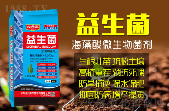 ɽ�|���������＼�g(sh��)���޹�˾1